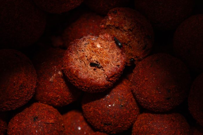 GOLD BOILIES 20 MM ROBIN RED - BUCKET 5 KG