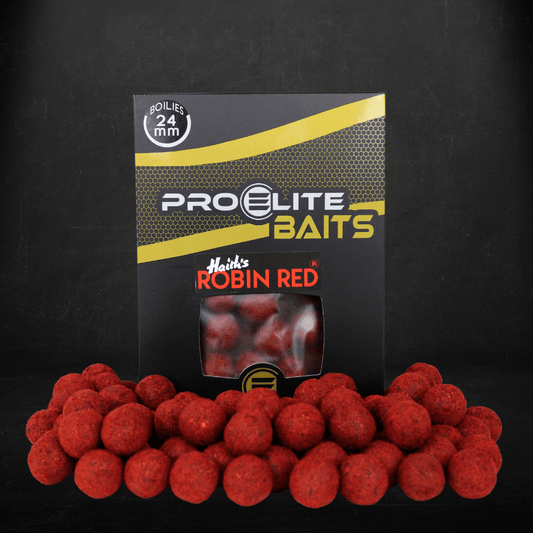 GOLD BOILIES 24 MM ROBIN RED  - 1000 GR