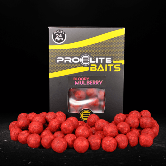 GOLD BOILIES 24 MM BLOODY MULBERRY  - 1000 GR