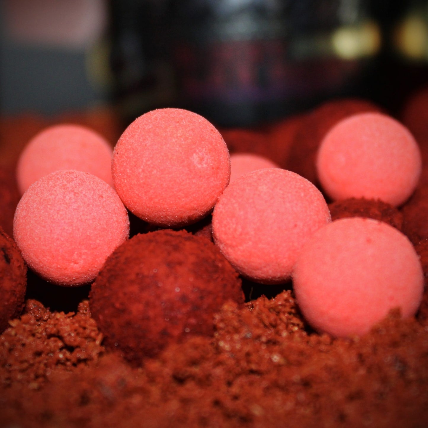 GOLD SESSION PACK BLOODY MULBERRY