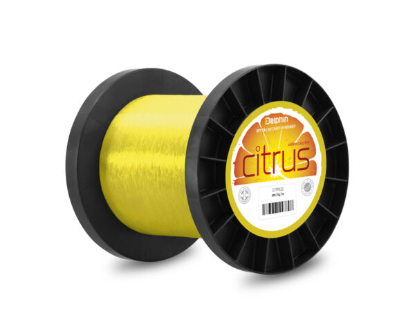Delphin CITRUS / gelb0,25mm 5,0kg 30000m – Bild 2