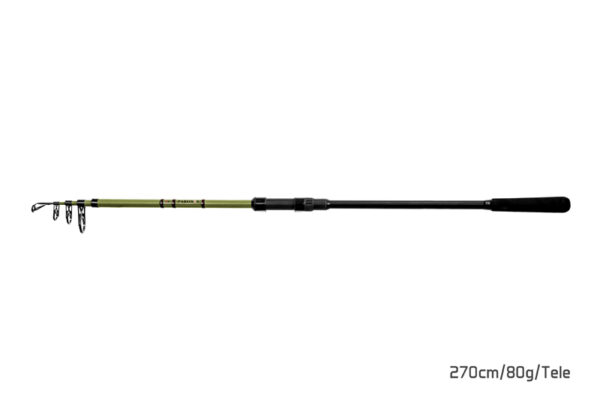Delphin PARTISAN360cm/120g/Tele – Bild 3
