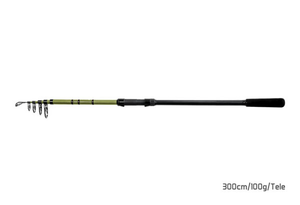 Delphin PARTISAN360cm/120g/Tele – Bild 4