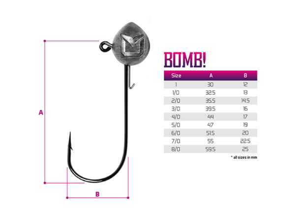 Jig Kopf mit Delphin BOMB Halter! / 5Stück10g-5/0 – Bild 3