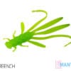 DuoPACK BOX Nymfa Delphin MANYA UVs / 6x 5St.10.5cm/FROGS – Bild 13