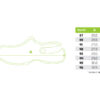 Clogs Delphin OCTO / hellgrüne37 – Bild 6