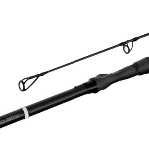 Delphin INQVISITOR360cm/3.00lbs/2 Teile