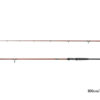 Delphin EXPLOZA HARD210cm/60g/2 Teile – Bild 5