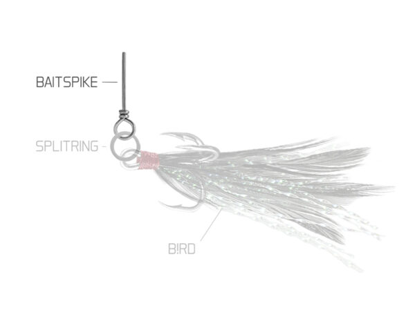 Delphin BAIT SPIKE KöderdornM/24mm/10ks – Bild 3