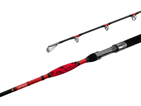 Delphin DANGER CatFISH255cm/350g/2Teile