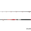 Delphin DANGER CatFISH255cm/350g/2Teile – Bild 2