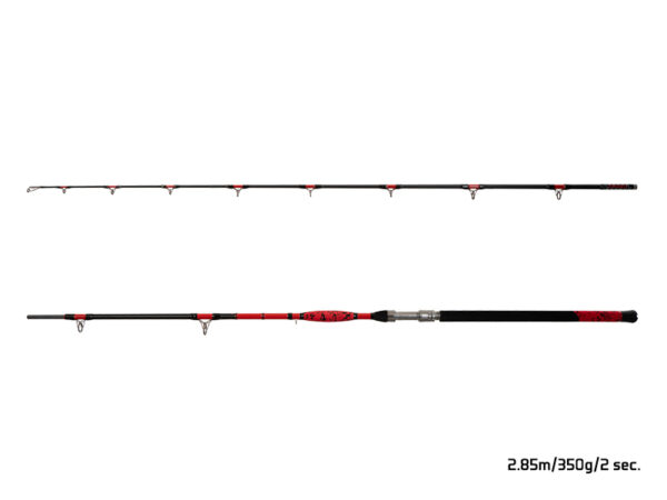 Delphin DANGER CatFISH255cm/350g/2Teile – Bild 3