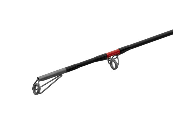 Delphin DANGER CatFISH255cm/350g/2Teile – Bild 5