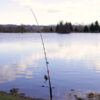 Delphin DANGER CatFISH255cm/350g/2Teile – Bild 9