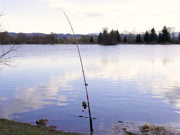 Delphin DANGER CatFISH255cm/350g/2Teile – Bild 9