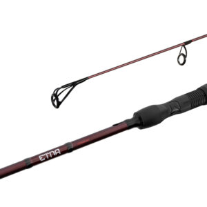 Delphin ETNA LEGEND4RY3,6m/3,0lbs/2 Teile