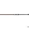 Delphin THUNDER GenerationX300cm/100g – Bild 2