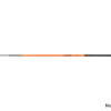 Delphin INFERNO Pole4m – Bild 3