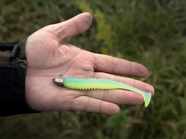 Jigkopf mit dem Kragen Delphin TRIAD / 5 St.12g-6/0 – Bild 6