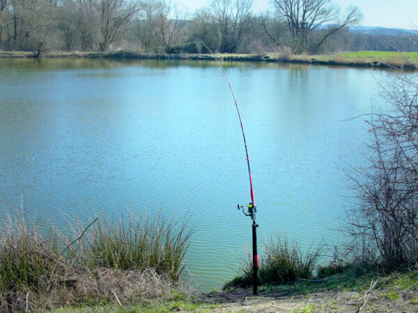Welsständer Delphin ENERGY100cm – Bild 9