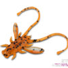 Kunstköder Delphin B! Stinx NYMPHA / 20St.2.5cm / MUDDY – Bild 8