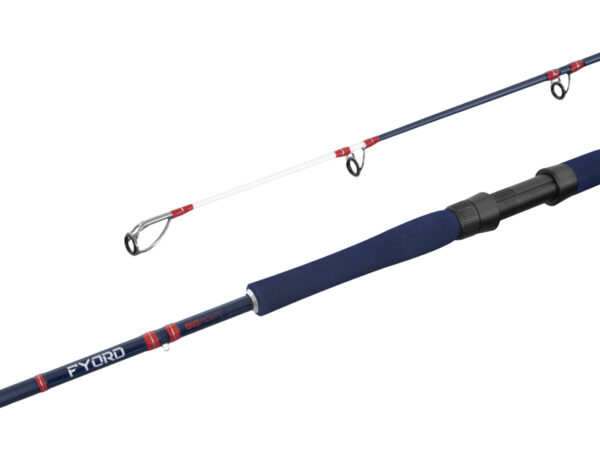 Delphin FYORD BigBOAT220cm/300-400g/2Teile