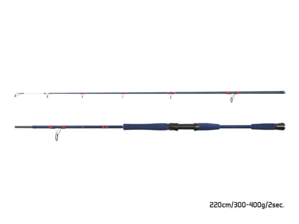 Delphin FYORD BigBOAT220cm/300-400g/2Teile – Bild 3