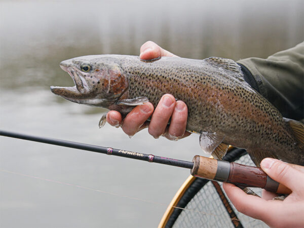 Delphin TROUTERA SoftLURE210cm/1-7g/2 Teile – Bild 8
