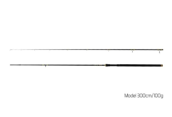 Delphin Murena270cm/100g – Bild 5