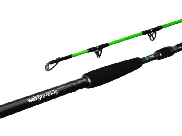 Delphin WALKYRA / 2 Teile300cm/850g