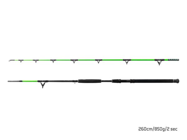 Delphin WALKYRA / 2 Teile300cm/850g – Bild 2