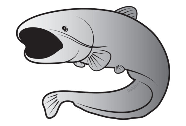 Aufkleber Wels SILVER